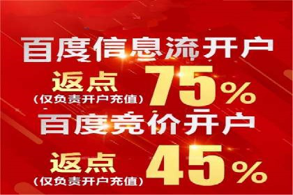 深度解析百度推广代运营公司的成功策略与技巧